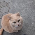 20260309_065857