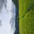 20260516_180309